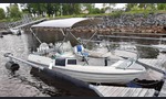 Terhi Bigfun-kuva-6